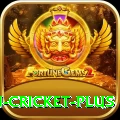 afghanistan cricket Deluxe Casino App