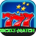 all cricket match Pro Edition v4.5.2