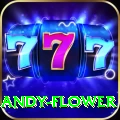 andy flower Games (Casino & Earning) Pro v5.1.2