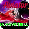 antigua hawksbill Max v5.2.3