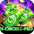 australian cricket Slot Machine Deluxe