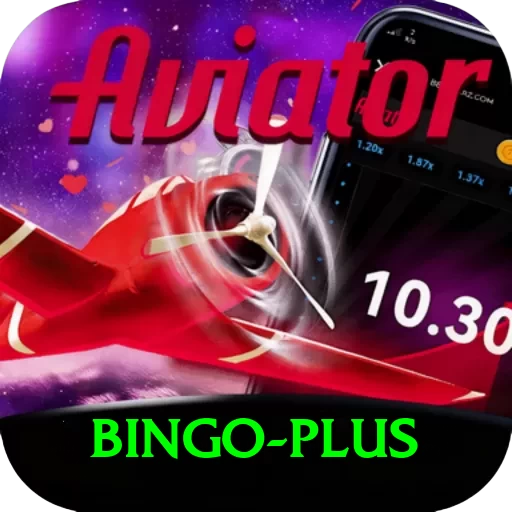 bingo Max v3.7.8 - 2