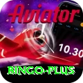 bingo Max v3.7.8