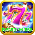 david wiese Plus Pro v1.0.6