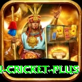 espn cricket - Plus v5.8.5