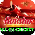 fastest ball in cricket Pro v1.9.6