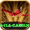 hile ilam tea garden Games (Casino & Earning) Pro v5.0.9