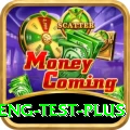ind eng test Gold v2.8.4