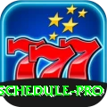 india cricket match schedule Mega Gaming App