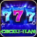 ireland cricket team Plus Edition v5.9.0