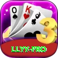 llyy Elite v5.8.5
