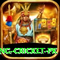 make money betting cricket pk Turbo Pro v4.0.7
