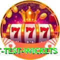 most test wickets Elite v4.4.6