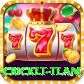 new zealand cricket team Elite Pro v4.7.3