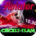 pakistan women cricket team Master v2.1.3