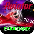 pakrummy Apps (Tools & Injectors) Master v5.2.9