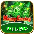pk11 - Real Money Plus