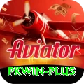 pkwin Master Pro v4.4.6