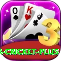 r cricket Turbo Slots