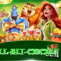 risk free bet cricket VIP Pro v1.4.2