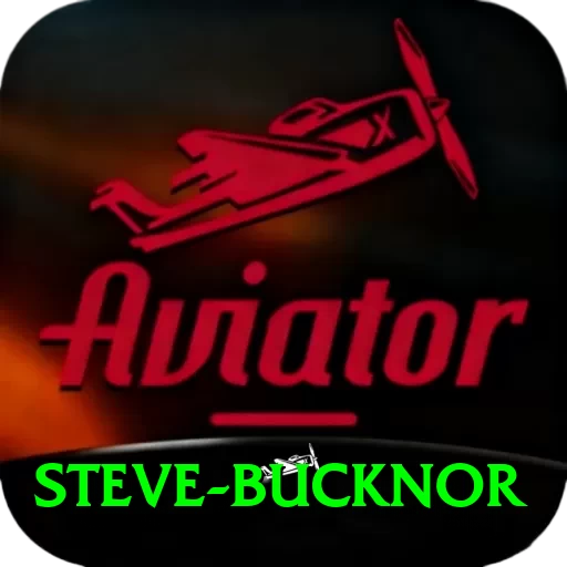 steve bucknor Deluxe Pro v2.4.5 - 2