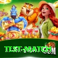 test match Premium Plus v3.8.9