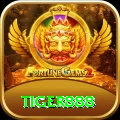 tiger888 Pro v5.1.4