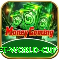 under 19 cricket world cup Master v4.7.5