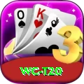 wc t20 Master Pro v5.9.5
