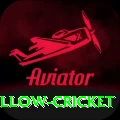 willow cricket Apps (Tools & Injectors) Master v5.9.9