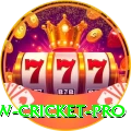 willow cricket Royal Jackpot